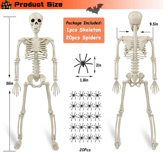 👻👻36" Skeleton Halloween Decorations, 3ft Life Size Human Skeleton with Full Body Movable Posable Joints Skeleton, Halloween Skeletons with 20 Spiders for Yard Haunted House Props Indoor Outdoor Decor